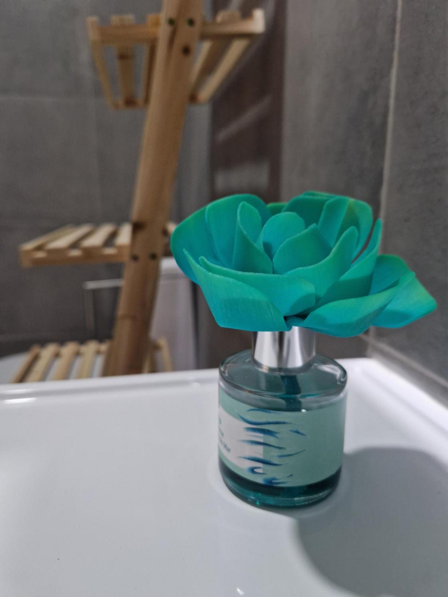 Casa Do Leao Apartment Евора Екстериор снимка